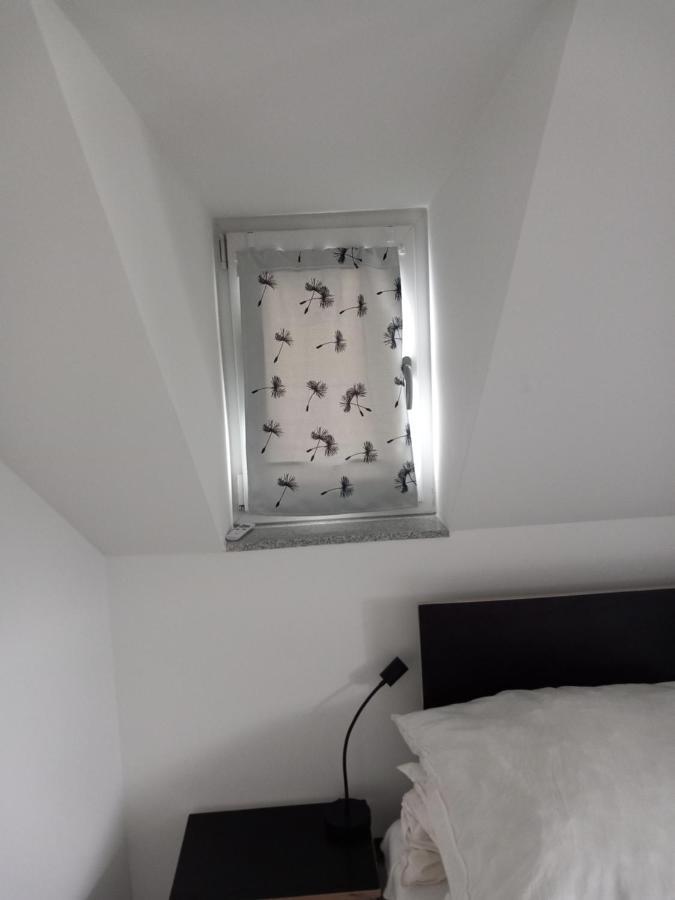 Ferienwohnung Im Roten Haus, Die Therme Ist Fusslaeufig In Wenigen Minuten Erreichbar Bad Ems Exteriör bild
