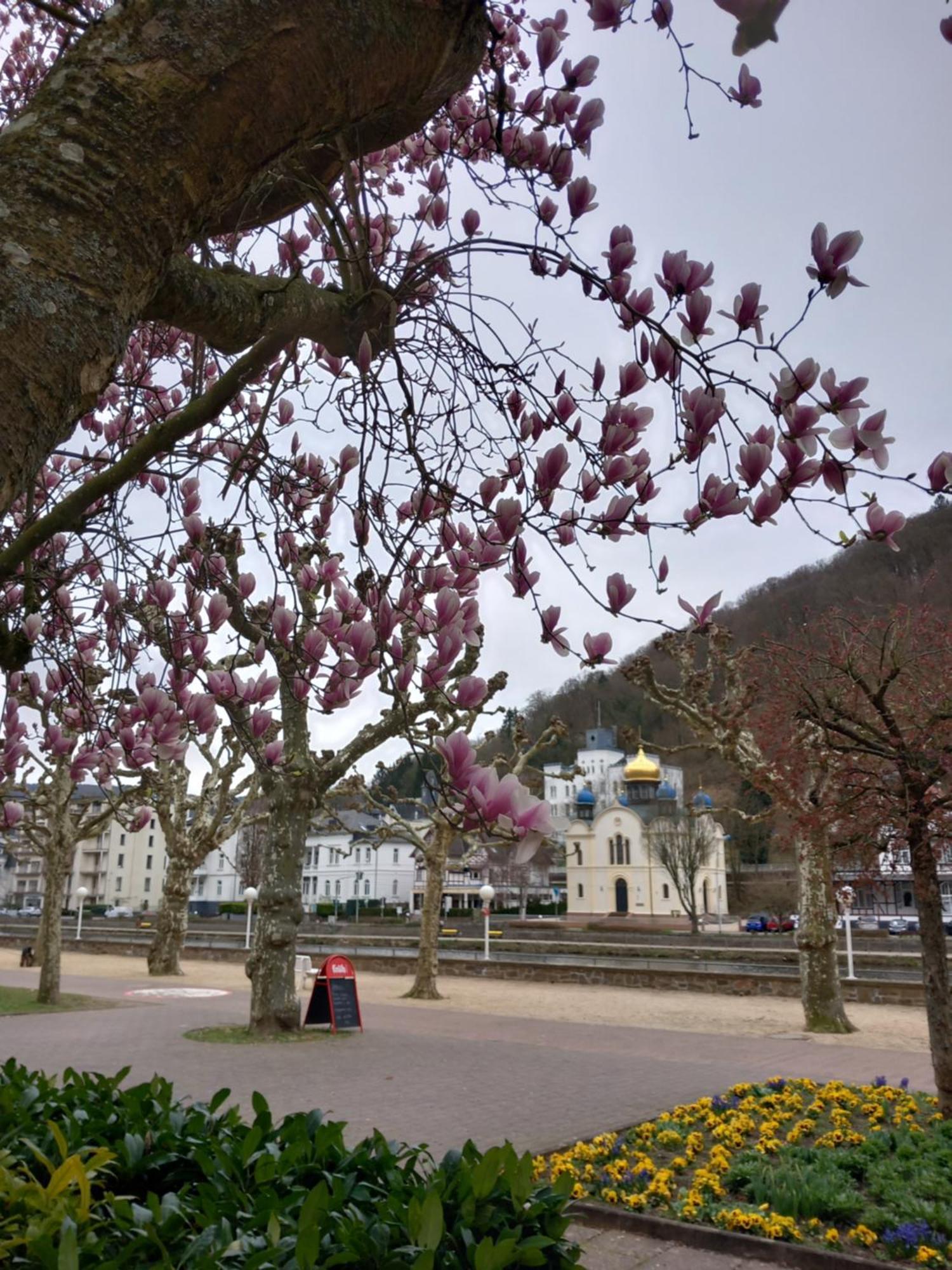 Ferienwohnung Im Roten Haus, Die Therme Ist Fusslaeufig In Wenigen Minuten Erreichbar Bad Ems Exteriör bild